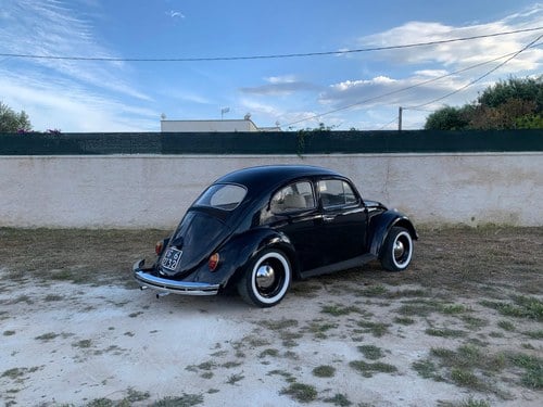 1966 Volkswagen Beetle 1200 In vendita (immagine 3 di 43)