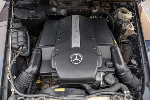 2002 Mercedes-Benz G500 W463 till salu (bild 157 av 190)