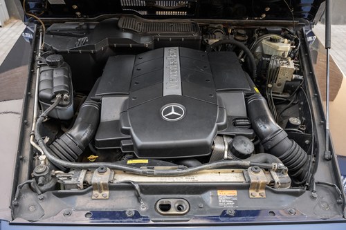 2002 Mercedes-Benz G500 W463 till salu (bild 155 av 190)