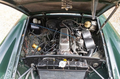 1975 MG MGB GT Jubilee Edition till salu (bild 99 av 126)