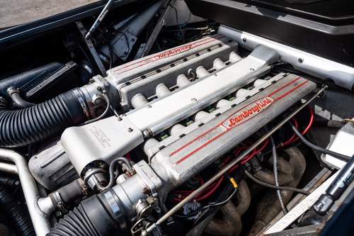 1993 Lamborghini Diablo En venta (imagen 240 de 264)
