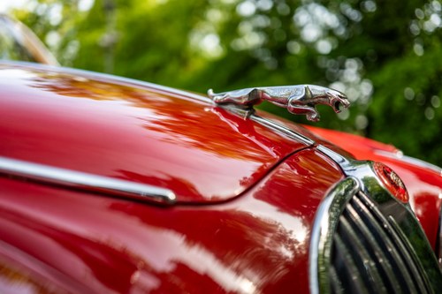 1963 Jaguar 340 3.8L MOD For Sale (picture 178 of 242)