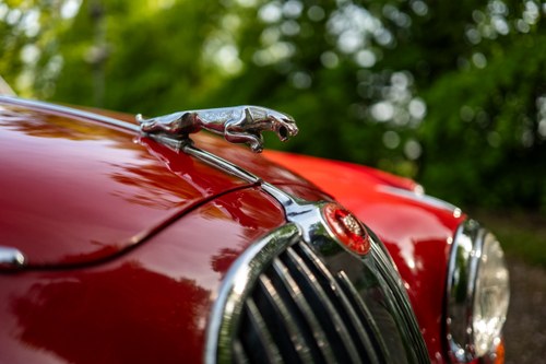 1963 Jaguar 340 3.8L MOD For Sale (picture 179 of 242)