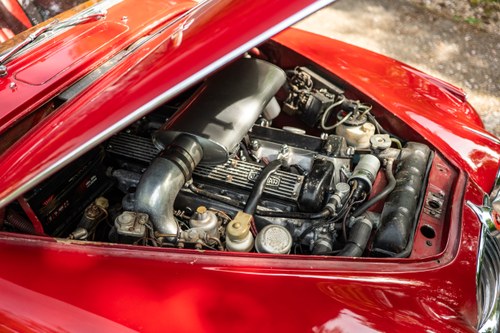 1963 Jaguar 340 3.8L MOD For Sale (picture 206 of 242)