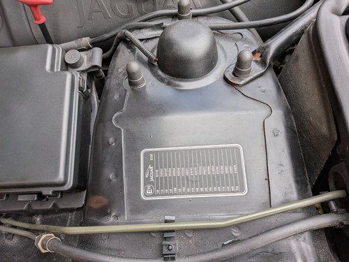 2003 Jaguar 4.2L XKR Convertible Paramount Grand Prix 450 En venta (imagen 185 de 217)