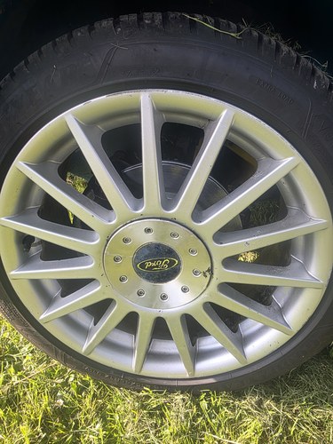 2018 Dutton Reef En venta (imagen 25 de 49)