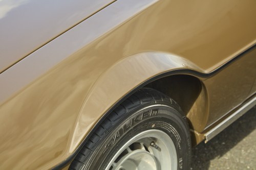 1975 Lotus Elite 501 In vendita (immagine 106 di 222)