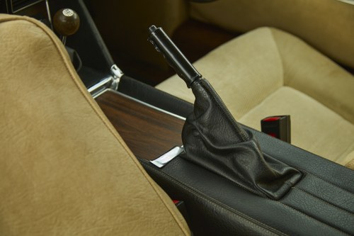 1975 Lotus Elite 501 In vendita (immagine 40 di 222)