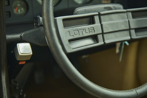 1975 Lotus Elite 501 In vendita (immagine 52 di 222)