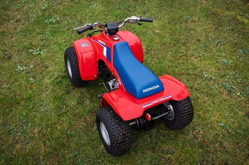 1980 Honda TRX 70 En venta (imagen 8 de 24)