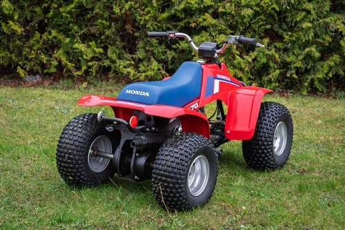 1980 Honda TRX 70 En venta (imagen 9 de 24)