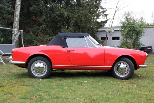 1964 Alfa Romeo Giulia Spider 1600 Te koop (foto 18 van 129)