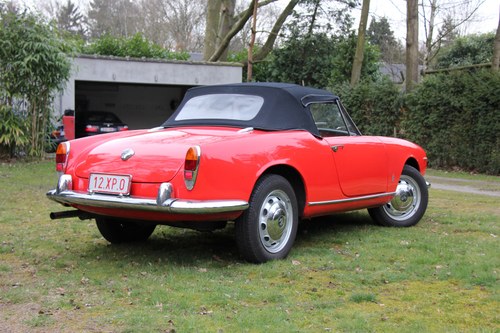 1964 Alfa Romeo Giulia Spider 1600 Te koop (foto 20 van 129)
