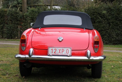 1964 Alfa Romeo Giulia Spider 1600 Te koop (foto 21 van 129)