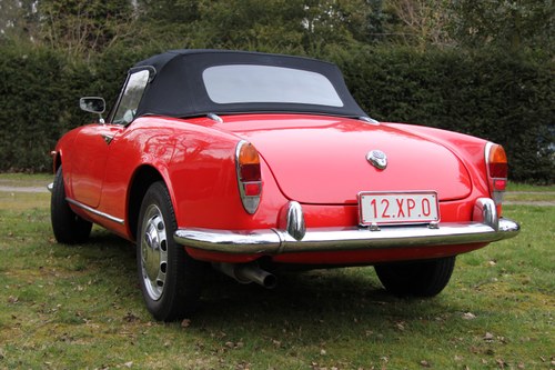 1964 Alfa Romeo Giulia Spider 1600 Te koop (foto 22 van 129)