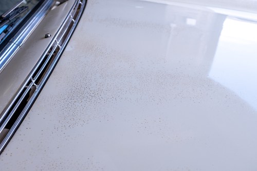 1968 Mercedes-Benz 280 SE W108 En venta (imagen 109 de 176)