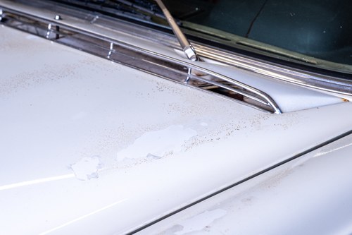 1968 Mercedes-Benz 280 SE W108 En venta (imagen 114 de 176)