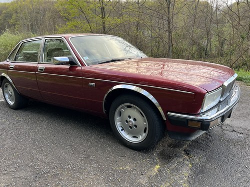 1988 Daimler XJ40 En venta (imagen 7 de 89)