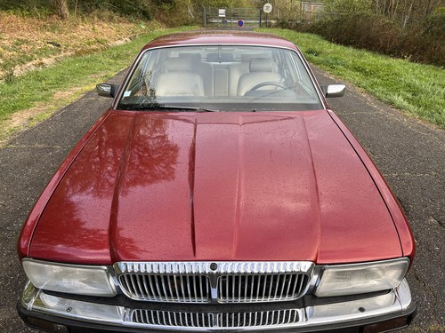 1988 Daimler XJ40 En venta (imagen 51 de 89)