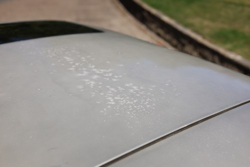 1997 Alfa Romeo 145 Cloverleaf à venda (imagem 128 de 207)