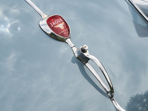 1955 Jaguar XK140 DHC RHD MOD En venta (imagen 72 de 132)