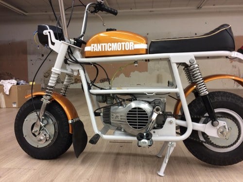 1974 FANTIC MOTOR Deputy TX7 Te koop
