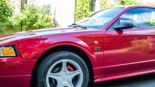2000 Ford Mustang GT 4.6L V8 Manual Mk4 SN95 à venda (imagem 104 de 211)