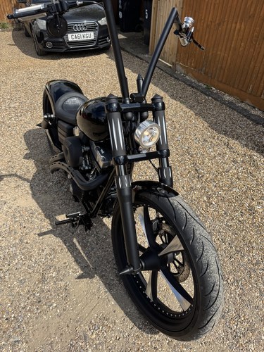 2008 Harley-Davidson FXDF Fat Bob 1584 Thunderbike Custom à vendre (picture 37 of 61)