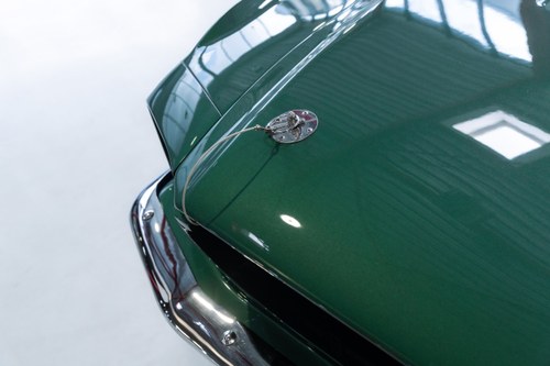 1967 Ford Mustang Shelby GT500 Fastback Te koop (foto 54 van 204)