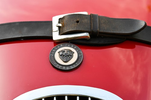 1954 Jaguar XK120 SE OTS LHD à vendre (picture 45 of 113)