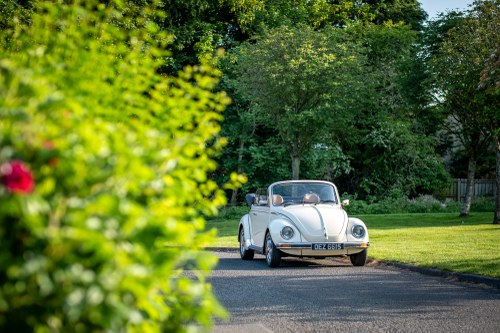 1978 Volkswagen Beetle 1303LS Karmann Cabriolet For Sale (picture 13 of 218)