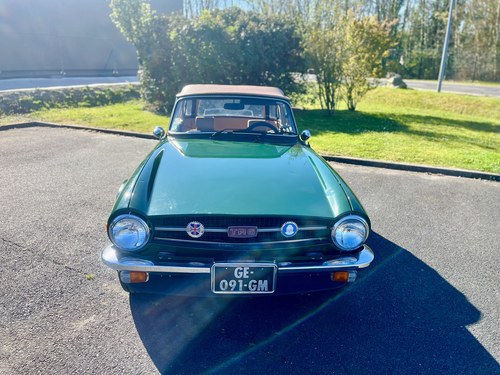 1975 Triumph TR6 zum Verkauf (Bild 22 von 92)