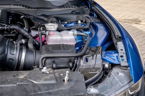 2024 Shelby Super Snake For Sale (picture 191 of 221)