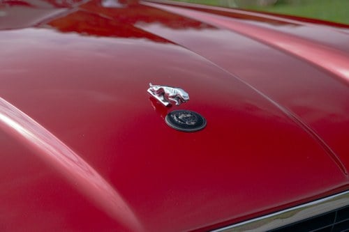 1993 Jaguar XJS V12 In vendita (immagine 70 di 178)