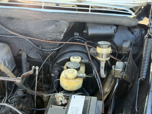 1967 Mercedes-Benz 280 SE (W108) à venda (imagem 52 de 61)