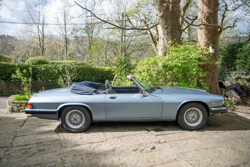 1988 Jaguar XJ-S V12 Convertible à venda (imagem 5 de 191)