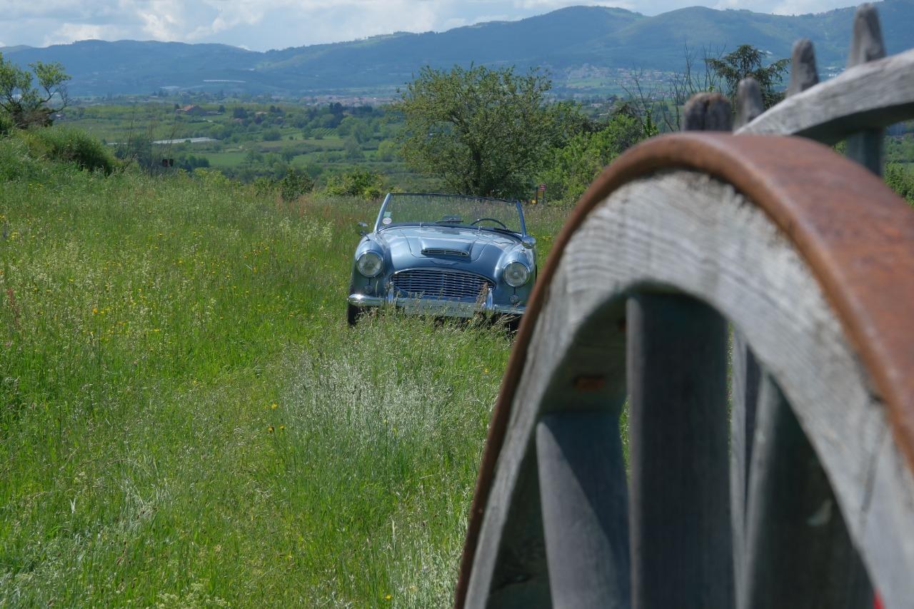 1959 AUSTIN HEALEY 100 BN4, foto 11