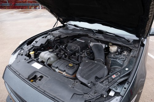 2015 Ford Mustang GT Roush Stage 2 Te koop (foto 38 van 50)