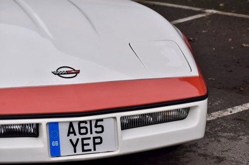 1984 Chevrolet Corvette C4 Faceman Replica Te koop (foto 88 van 175)