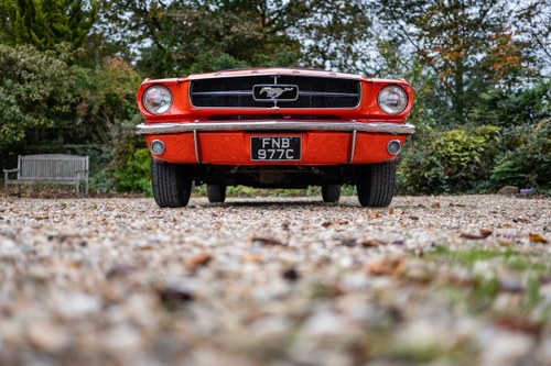 1965 Ford Mustang 289CI 4.7L D-Code Convertible à venda (imagem 25 de 228)