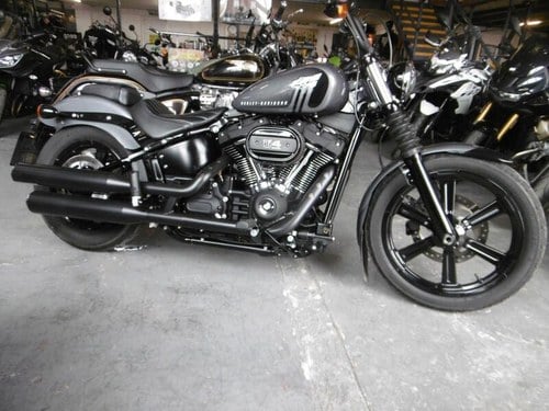 2023 Harley-Davidson Softail Te koop