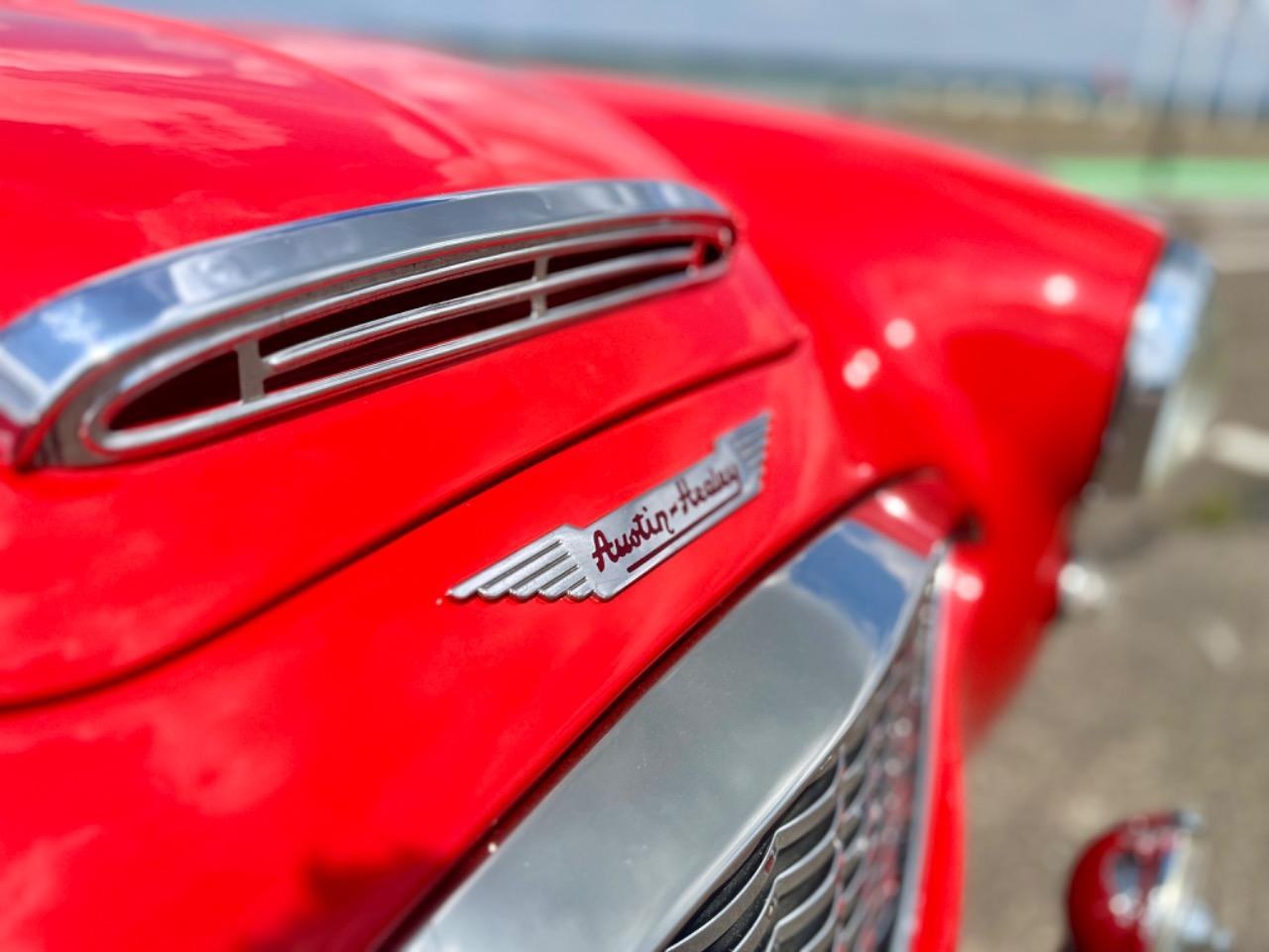 1958 AUSTIN HEALEY 100 BN4, foto 8