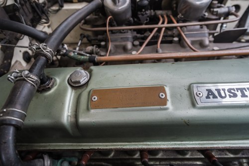 1959 Austin Healey 100-6 2+2 BN4 Overdrive RHD For Sale (picture 163 of 222)