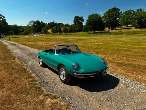 1969 Alfa Romeo Duetto Spider 1750 Te koop