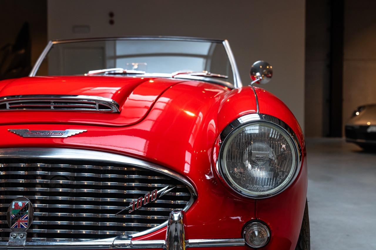 1961 AUSTIN HEALEY 3000 Mk1 BT7 2+2, foto 4