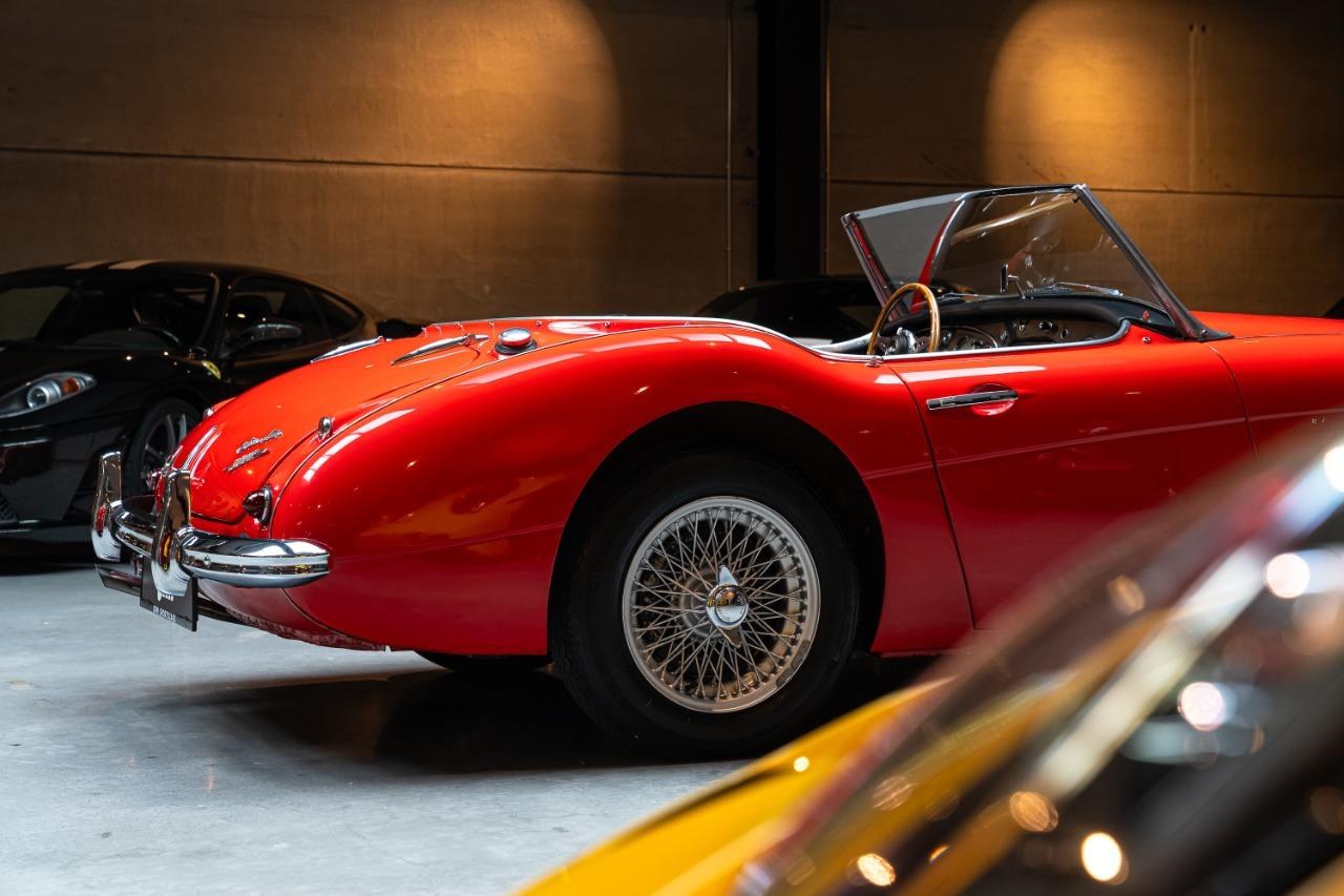1961 AUSTIN HEALEY 3000 Mk1 BT7 2+2, foto 7