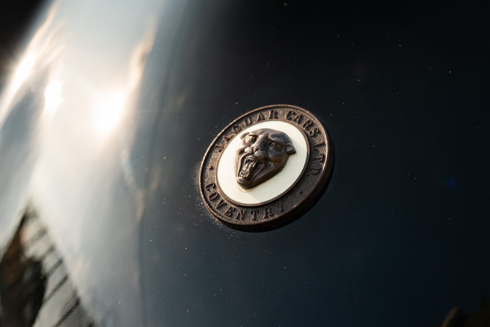 1951 Jaguar C-Type