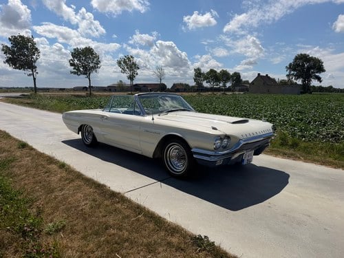 Ford Thunderbird 390 CI 6,4 L V8 de 1964 In vendita (immagine 1 di 93)