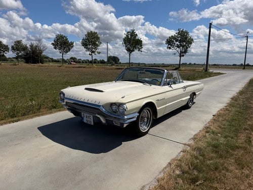 Ford Thunderbird 390 CI 6,4 L V8 de 1964 In vendita (immagine 2 di 93)