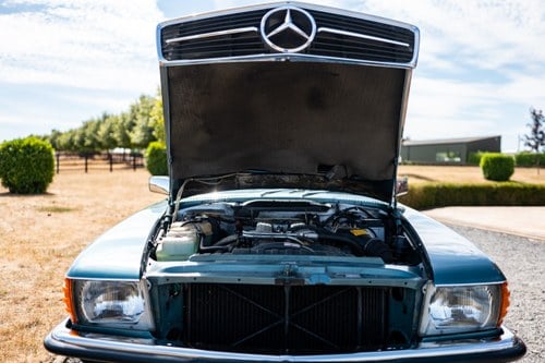 1984 Mercedes-Benz 280 SL R107 - 38,955 miles For Sale (picture 220 of 313)